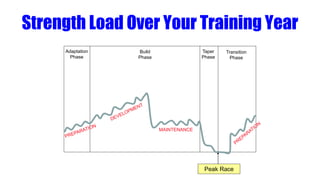Strength Load Over Your Training Year
Adaptation
Phase
Taper
Phase
Transition
Phase
Build
Phase
Peak Race
MAINTENANCE
 