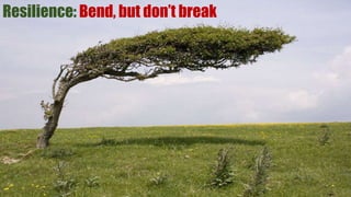 Resilience: Bend, but don’t break
 