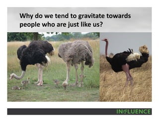 Why do we tend to gravitate towards 
people who are just like us?
 