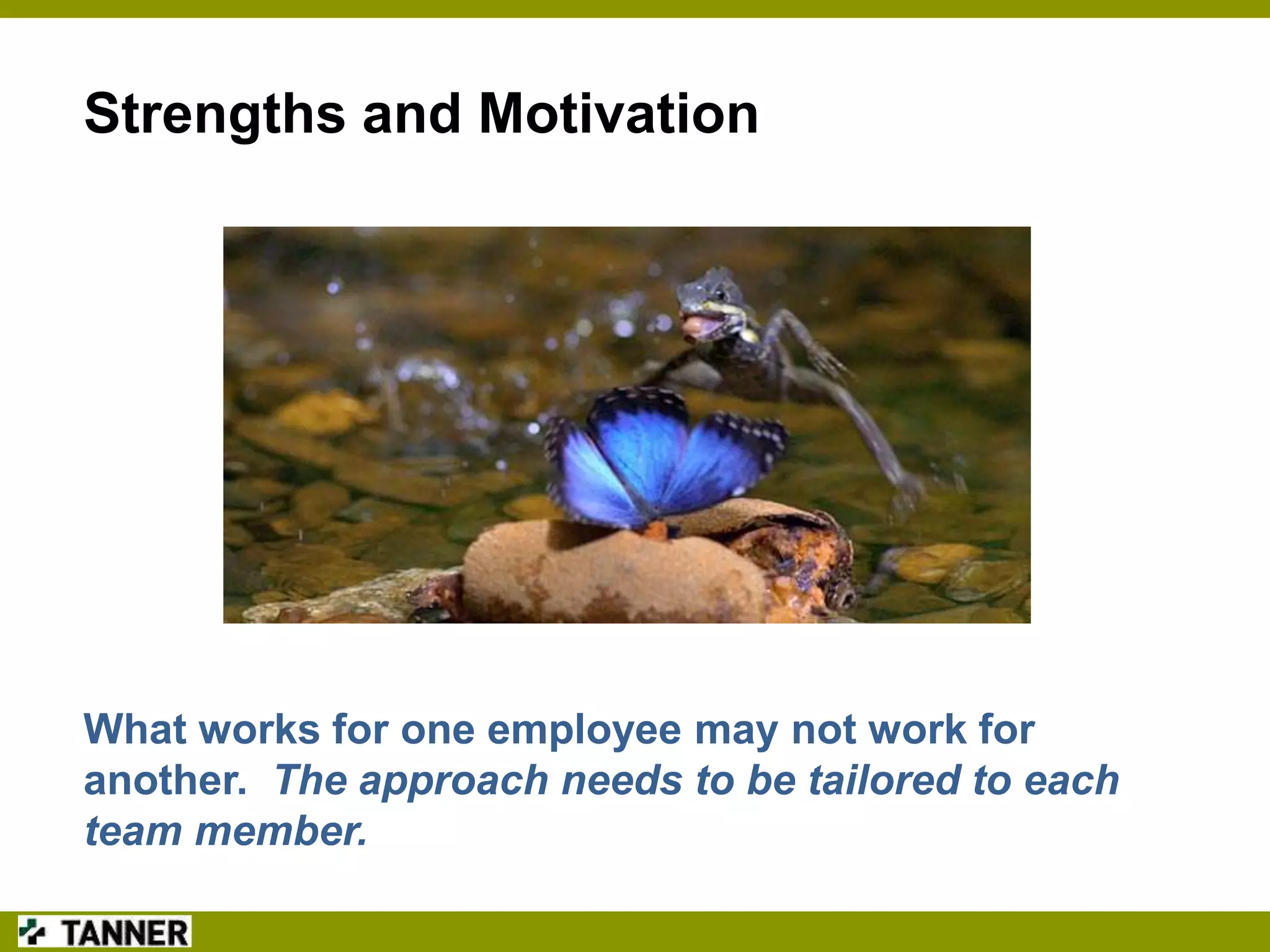 Strengths and Motivation

What works for one employee may not work for
another. The approach needs to be tailored to each
team member.

 