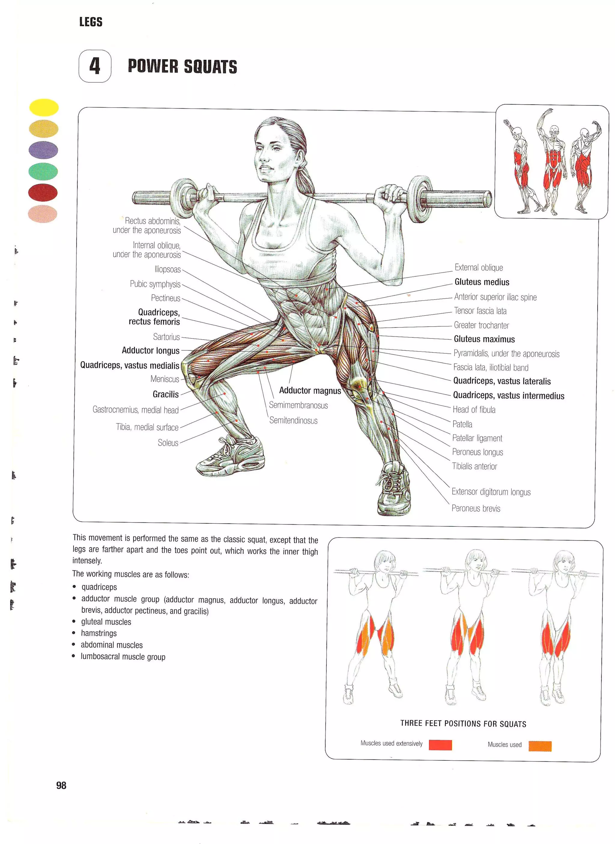 Strength Training Anatomy 2nd Edition