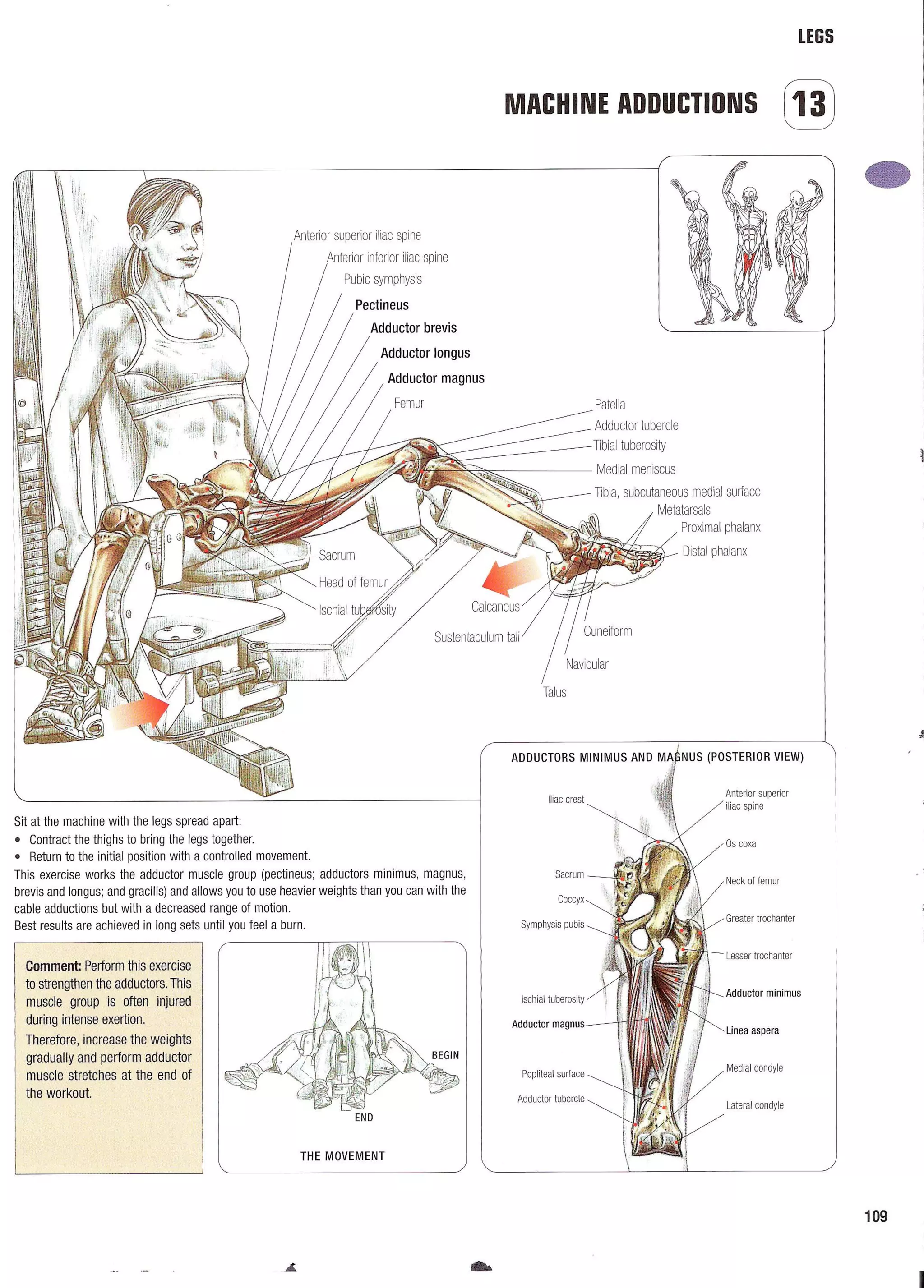 Strength Training Anatomy 2nd Edition