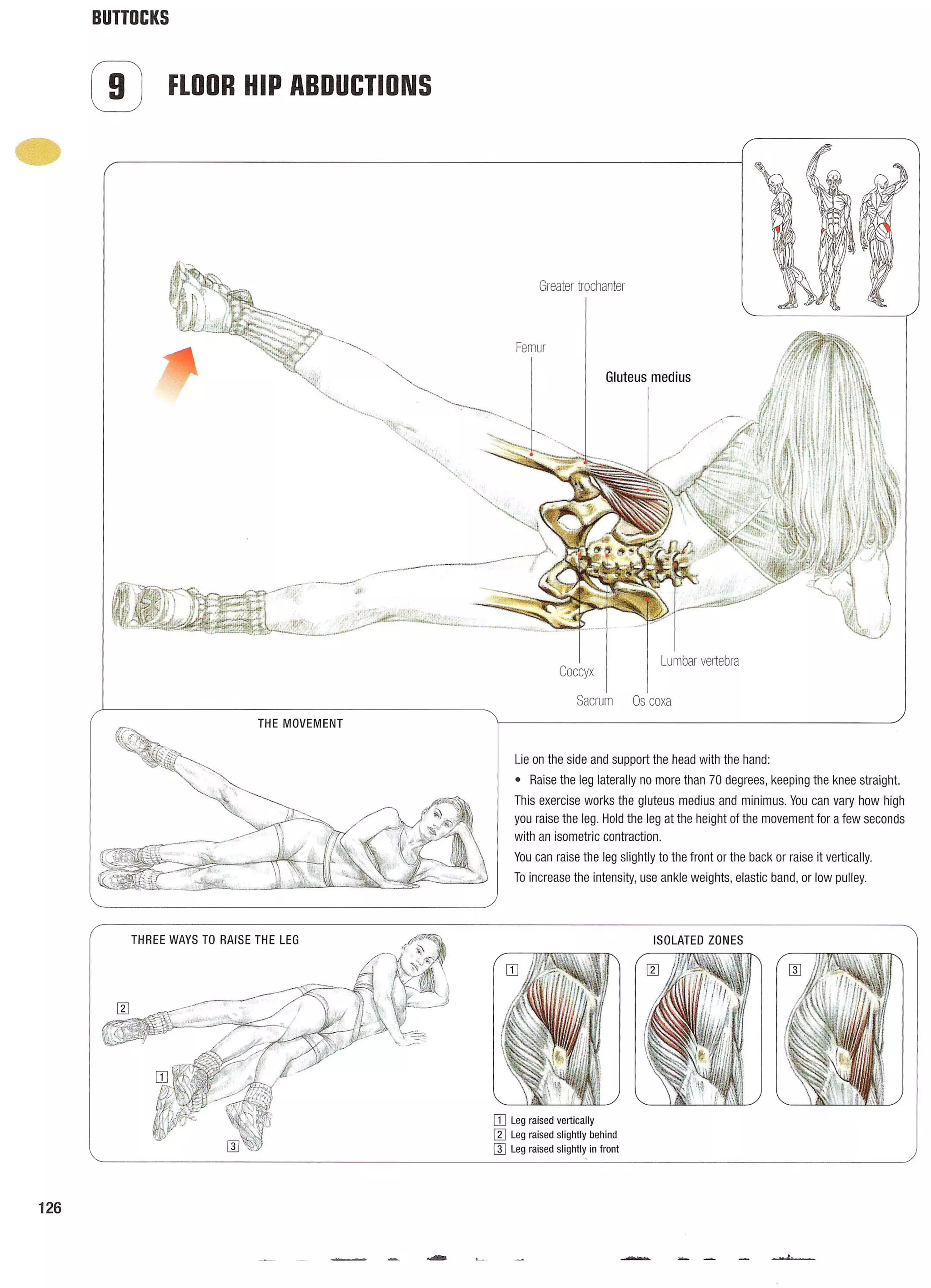 Strength Training Anatomy 2nd Edition