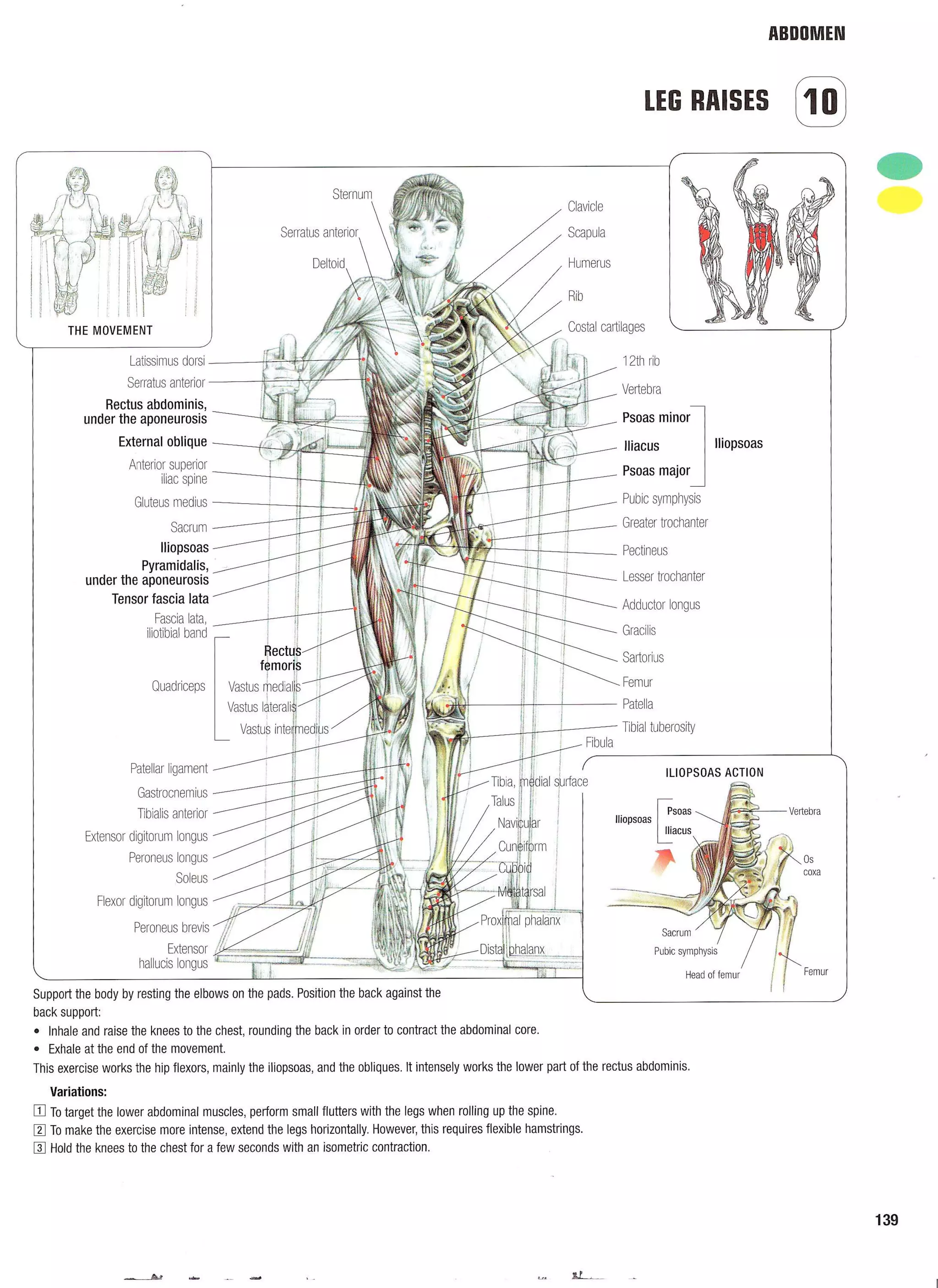 Strength Training Anatomy 2nd Edition