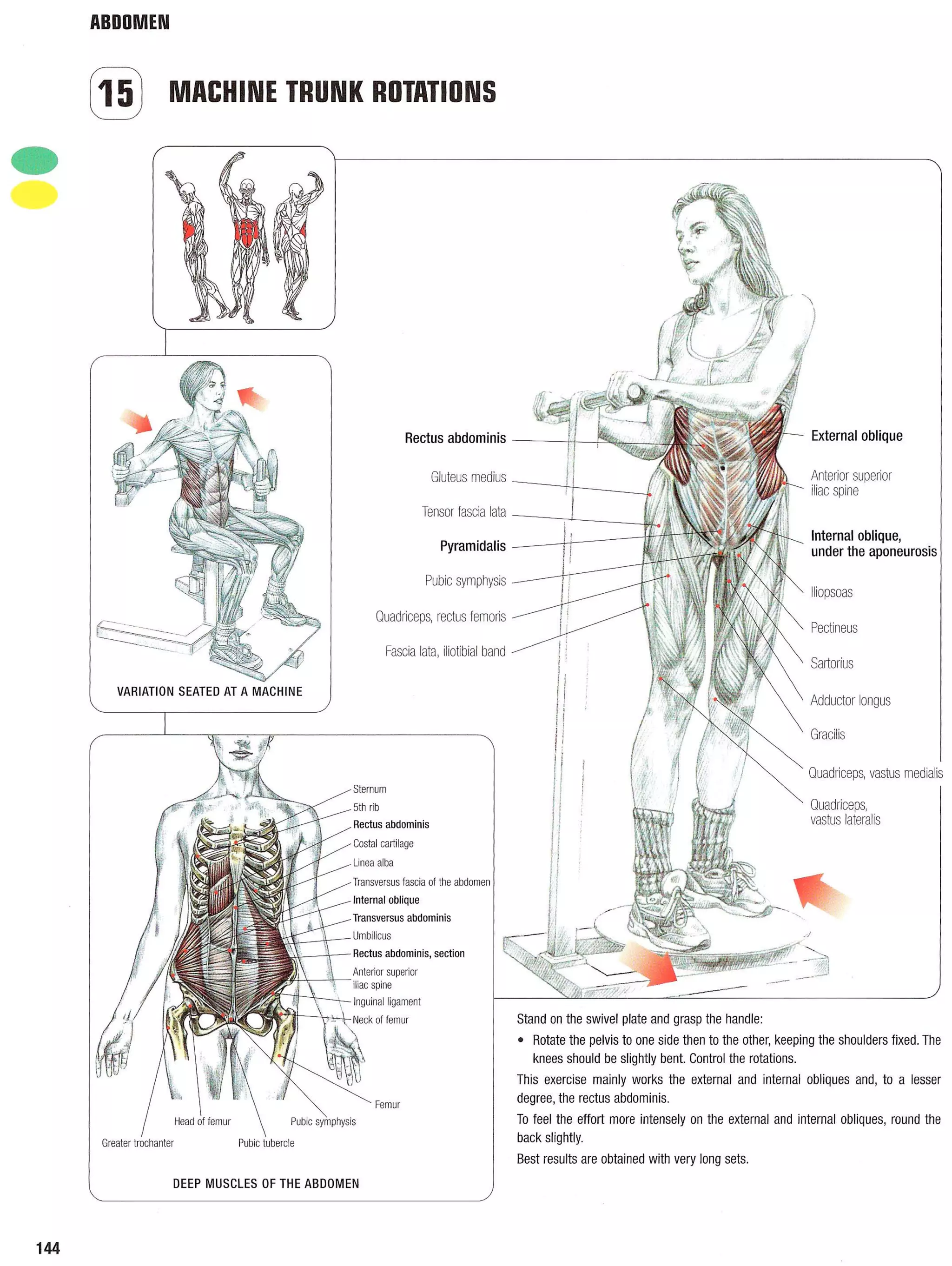 Strength Training Anatomy 2nd Edition