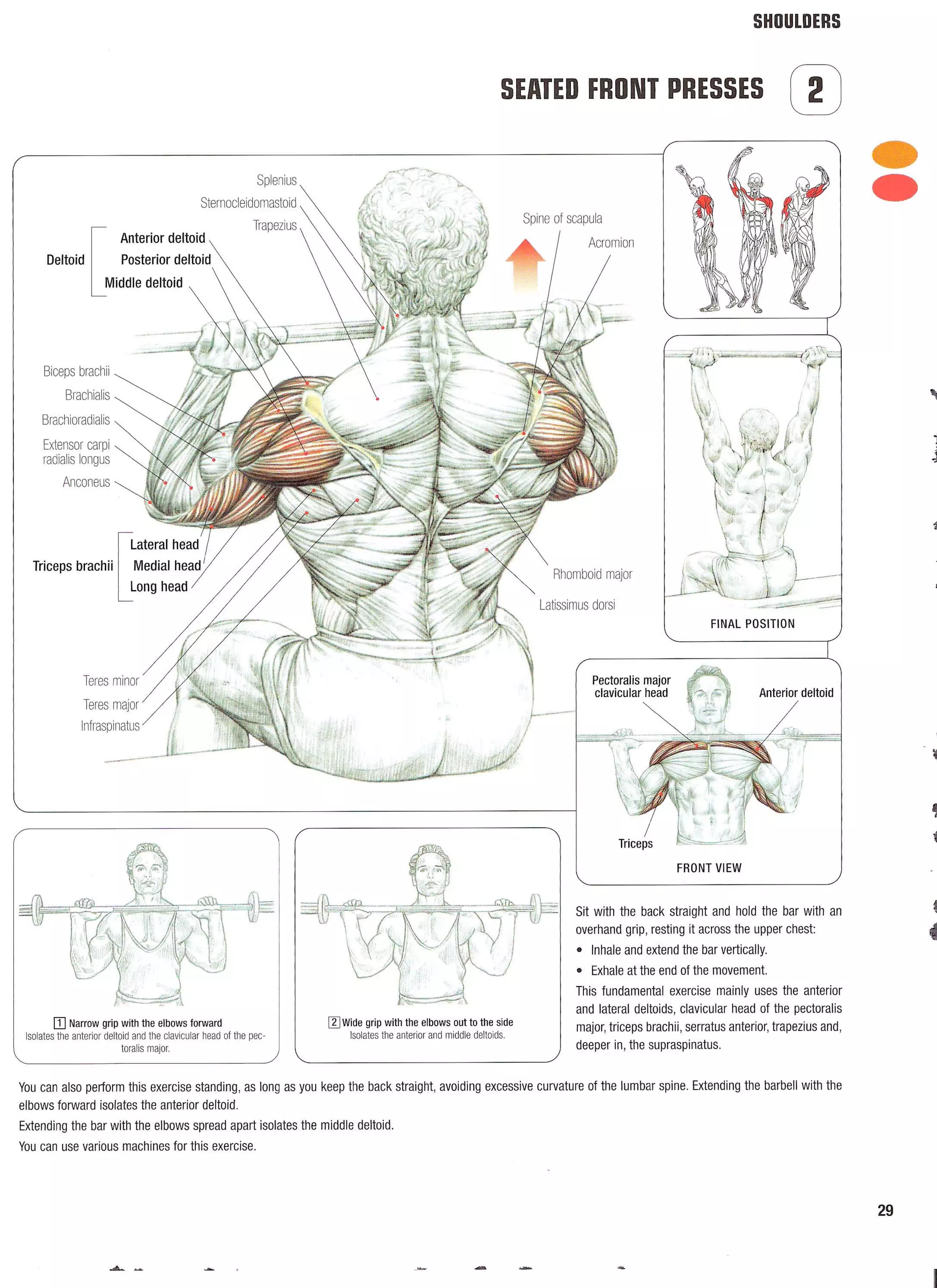 Strength Training Anatomy 2nd Edition