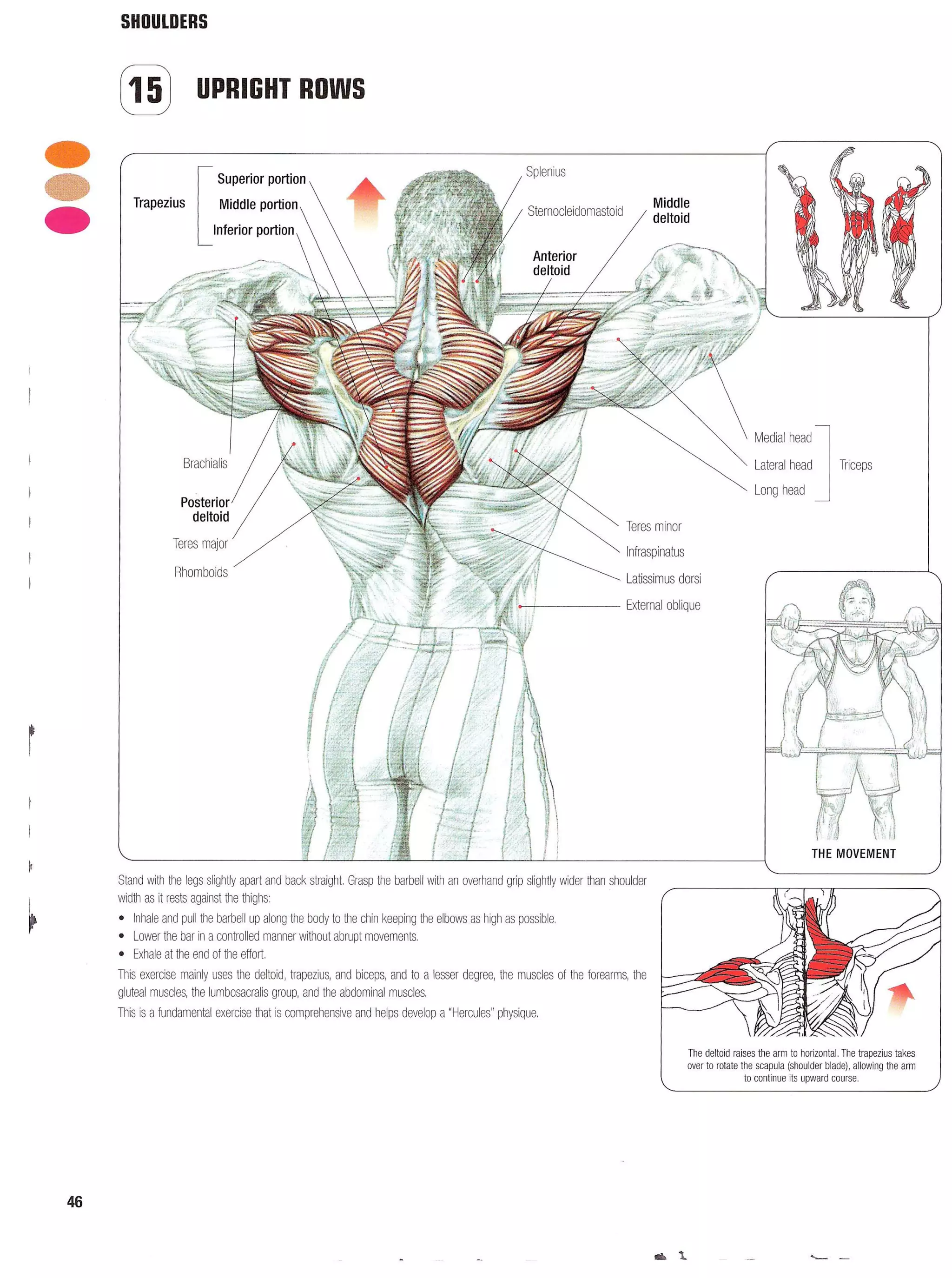 Strength Training Anatomy 2nd Edition