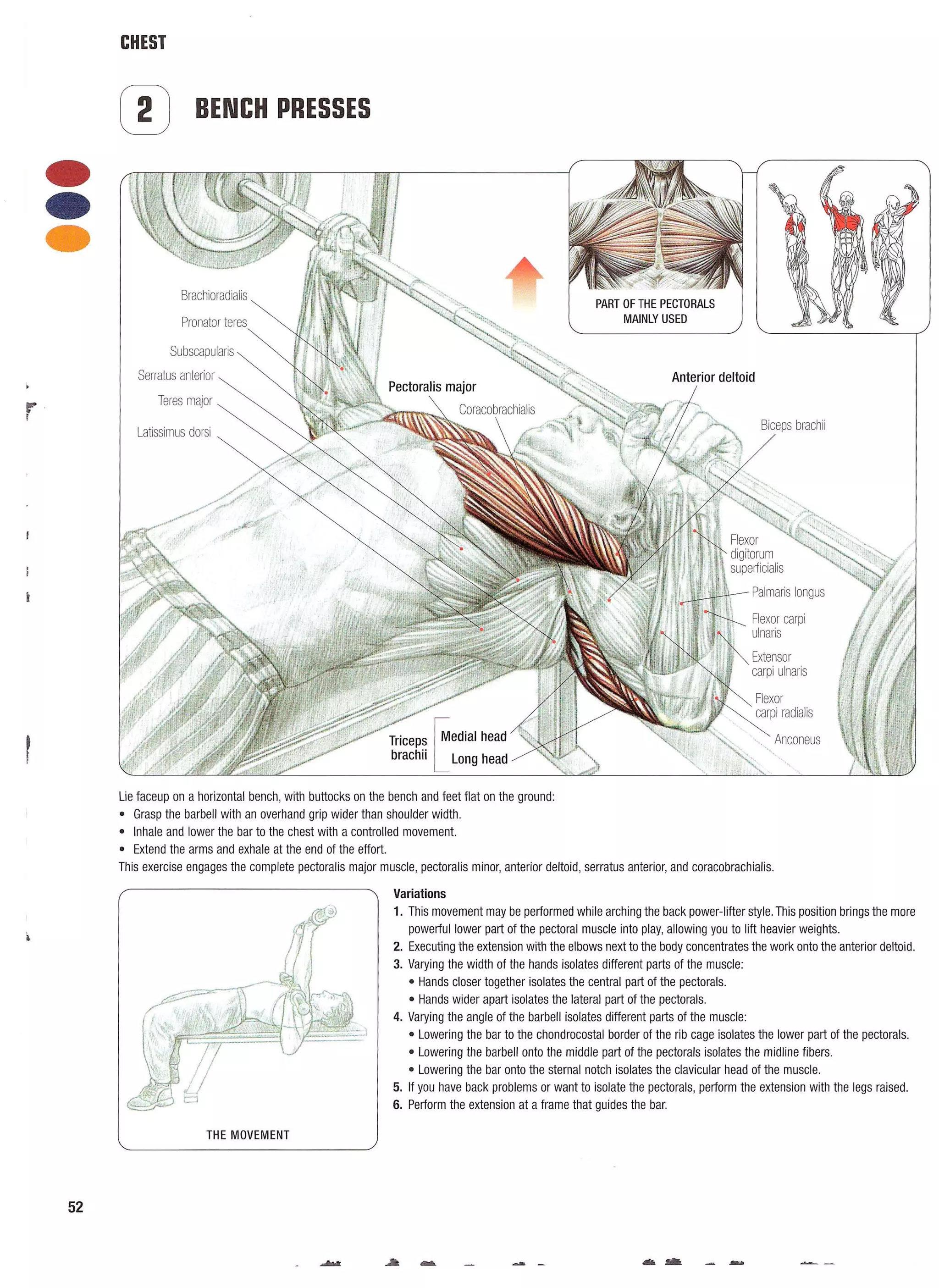 Strength Training Anatomy 2nd Edition