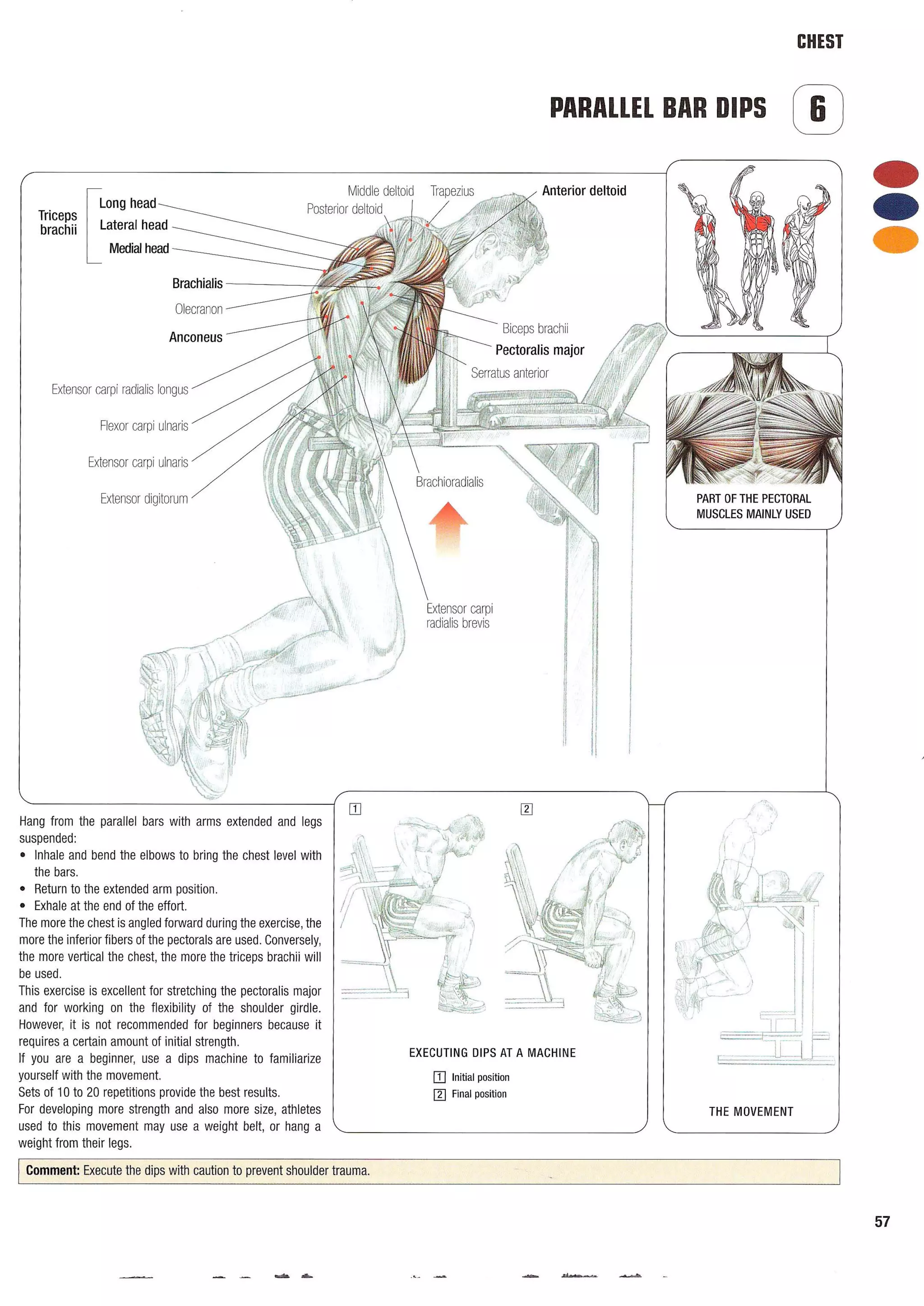 Strength Training Anatomy 2nd Edition
