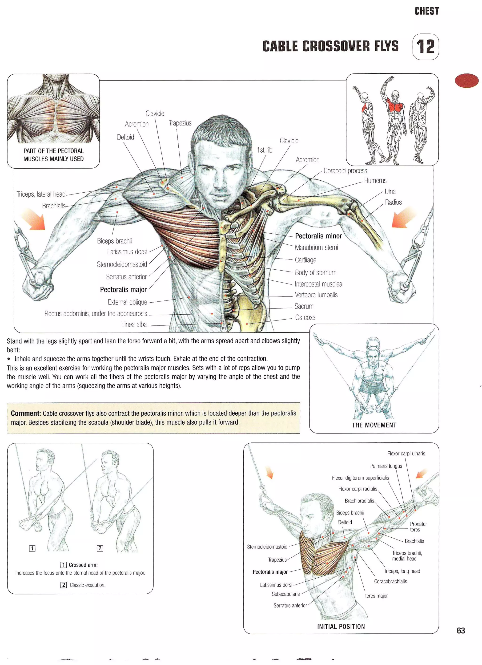 Strength Training Anatomy 2nd Edition