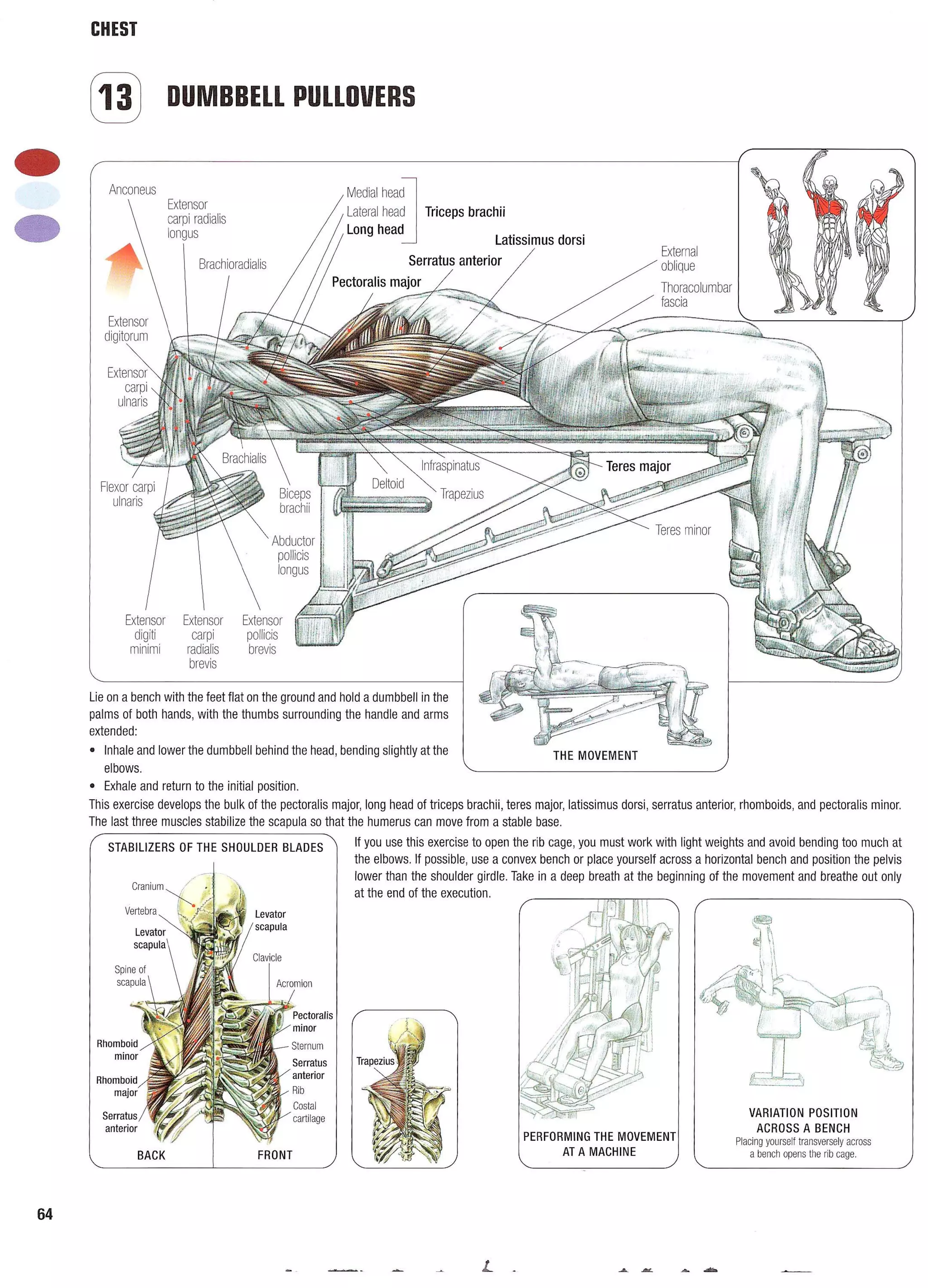 Strength Training Anatomy 2nd Edition