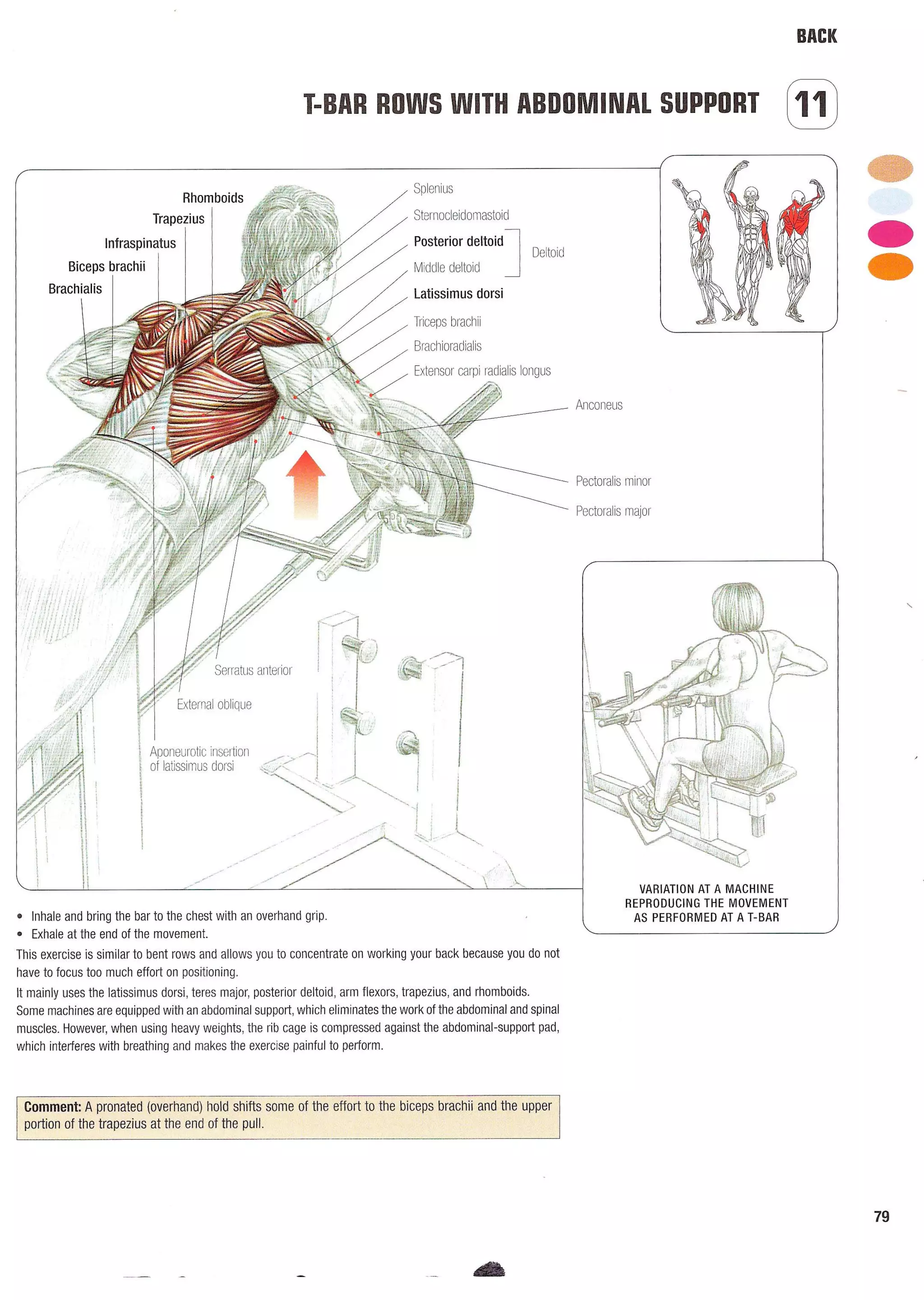 Strength Training Anatomy 2nd Edition
