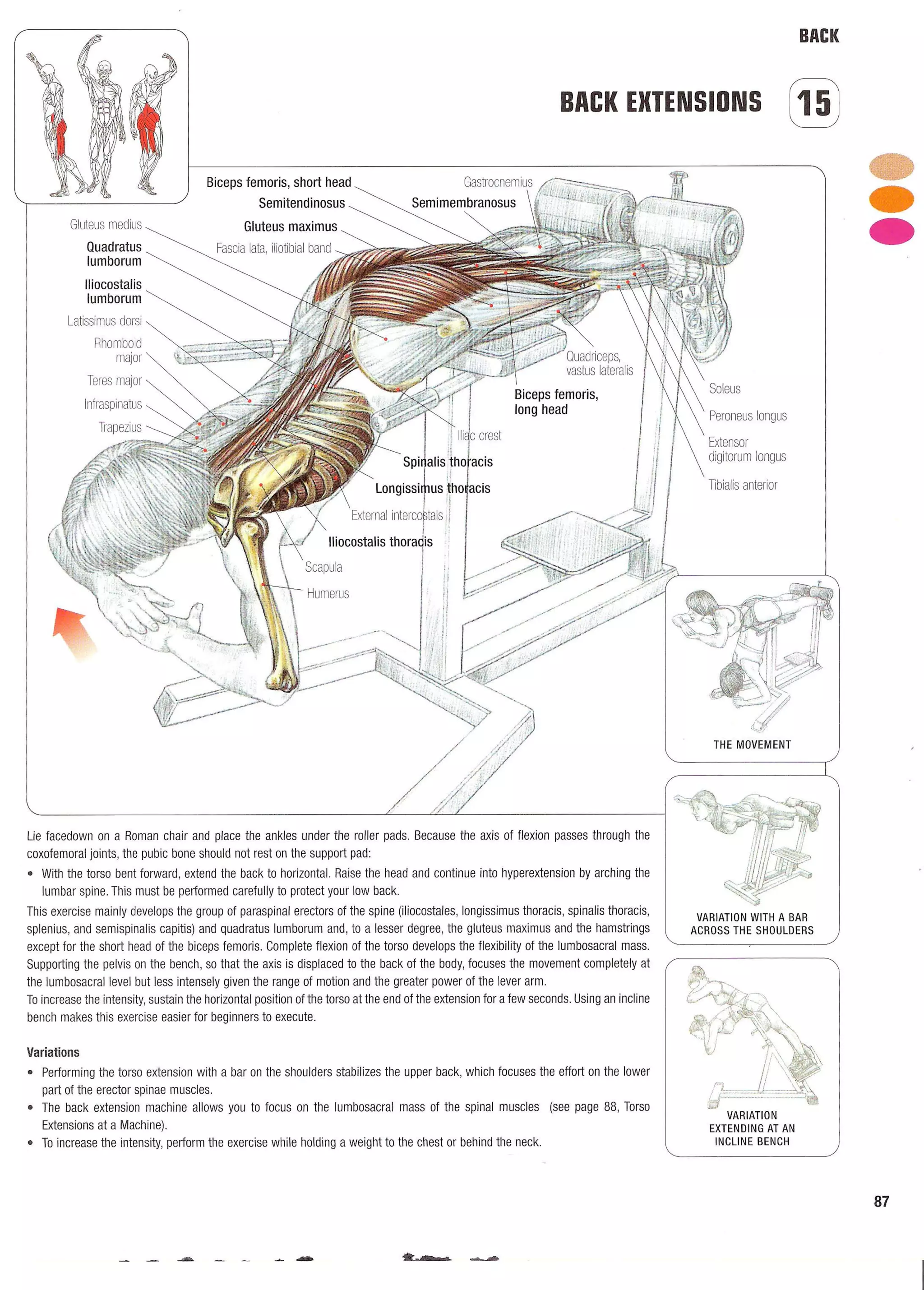 Strength Training Anatomy 2nd Edition