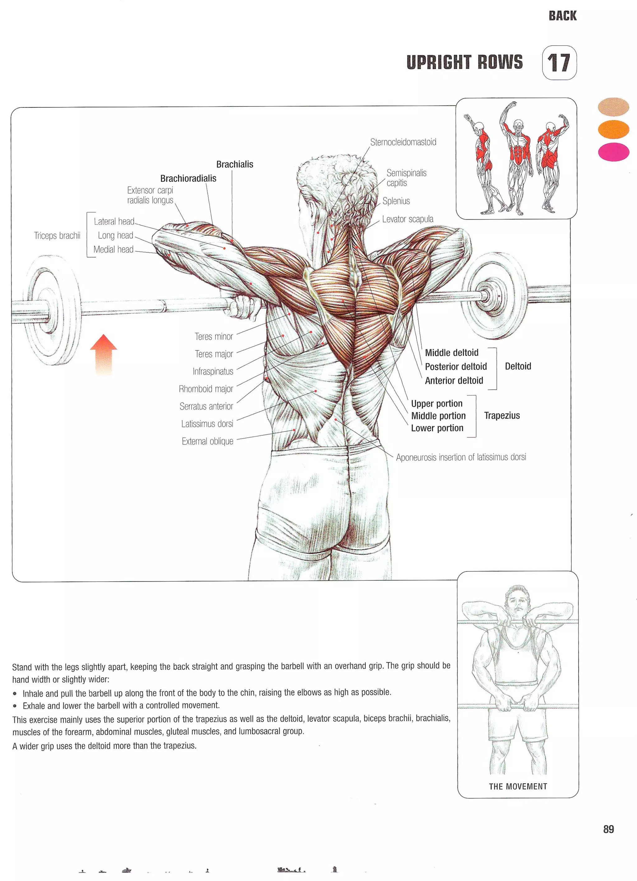 Strength Training Anatomy 2nd Edition