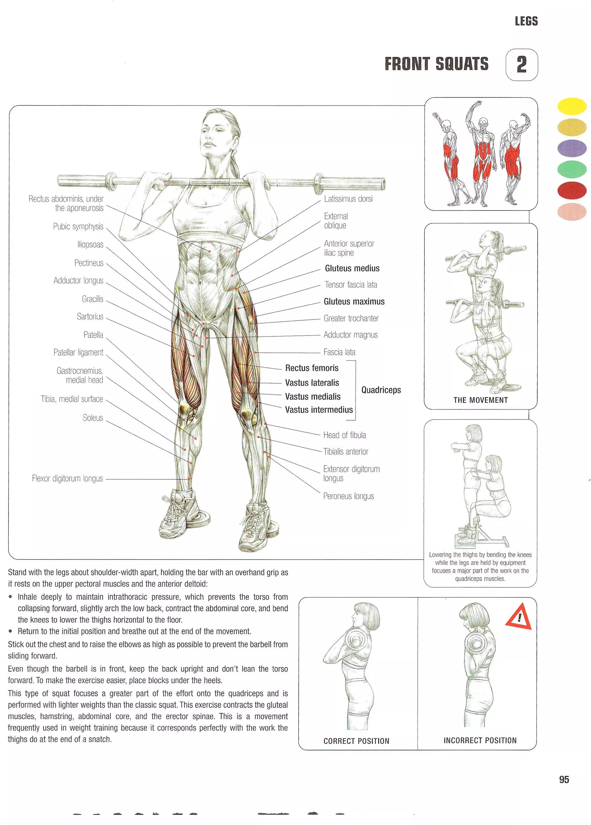 Strength Training Anatomy 2nd Edition