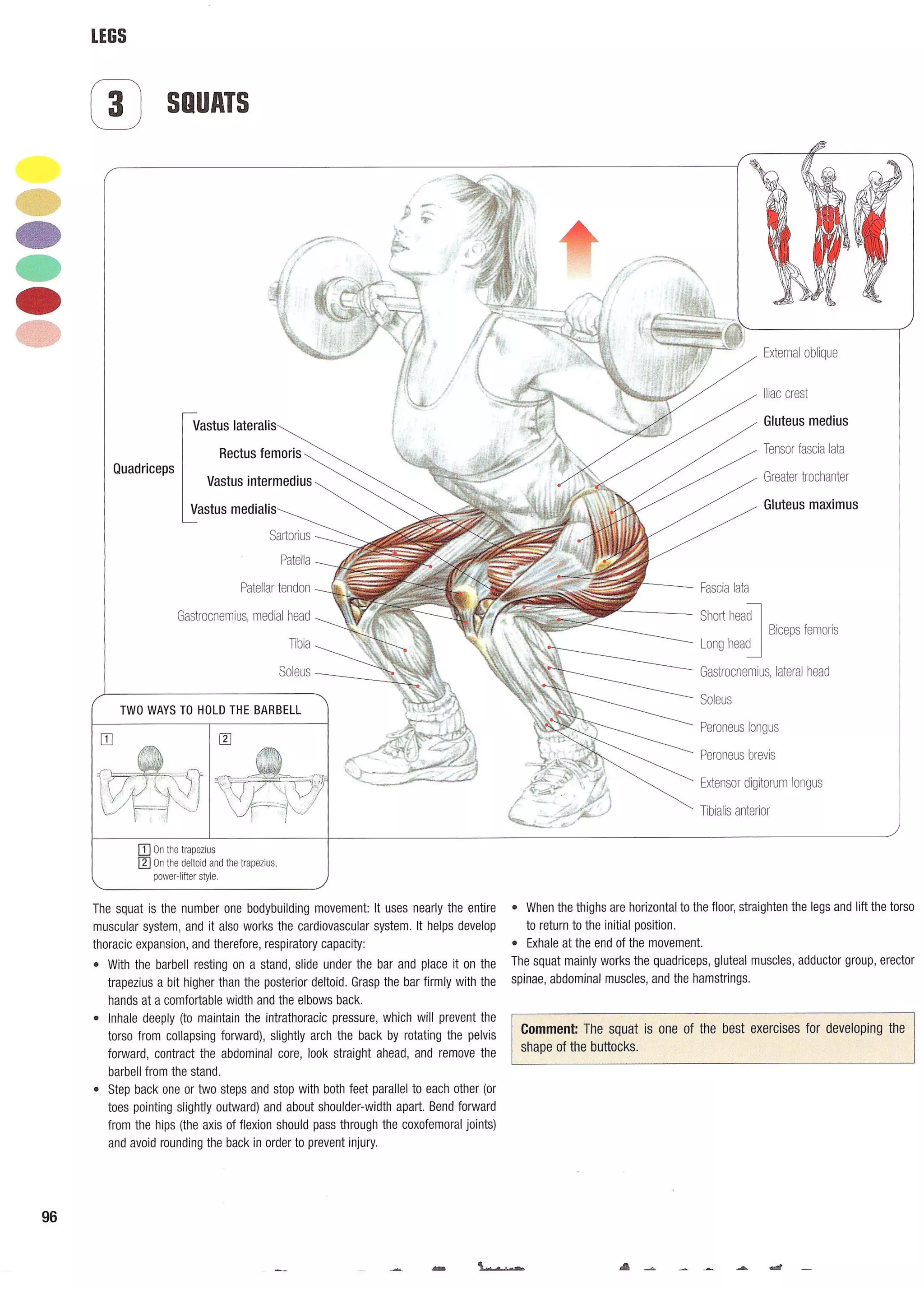 Strength Training Anatomy 2nd Edition
