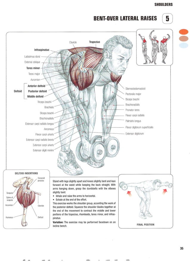 Strength Training Anatomy 2nd Edition