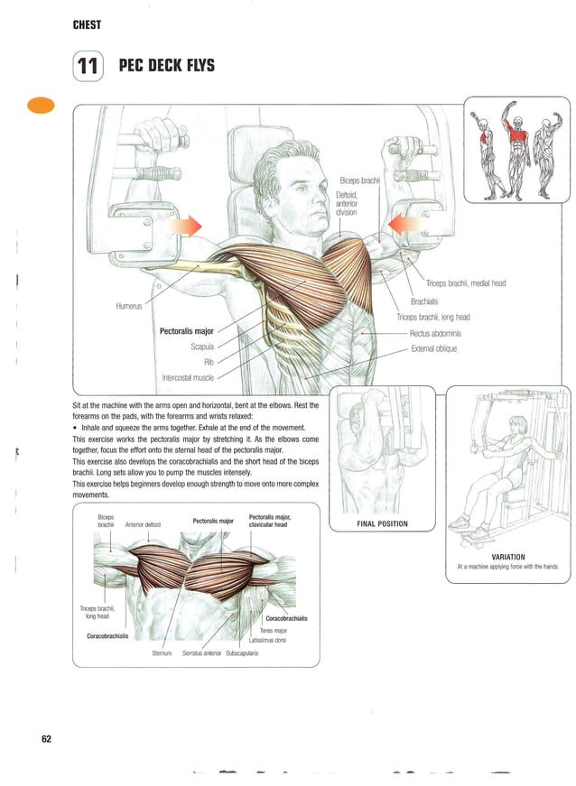 Strength Training Anatomy 2nd Edition