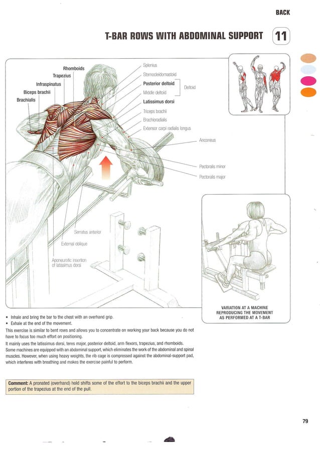 Strength Training Anatomy 2nd Edition