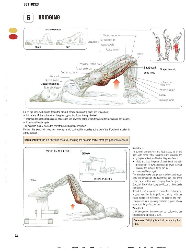strength-training-anatomy-2nd-edition