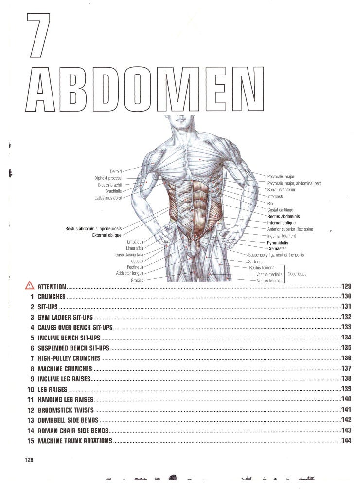 Strength Training Anatomy 2nd Edition
