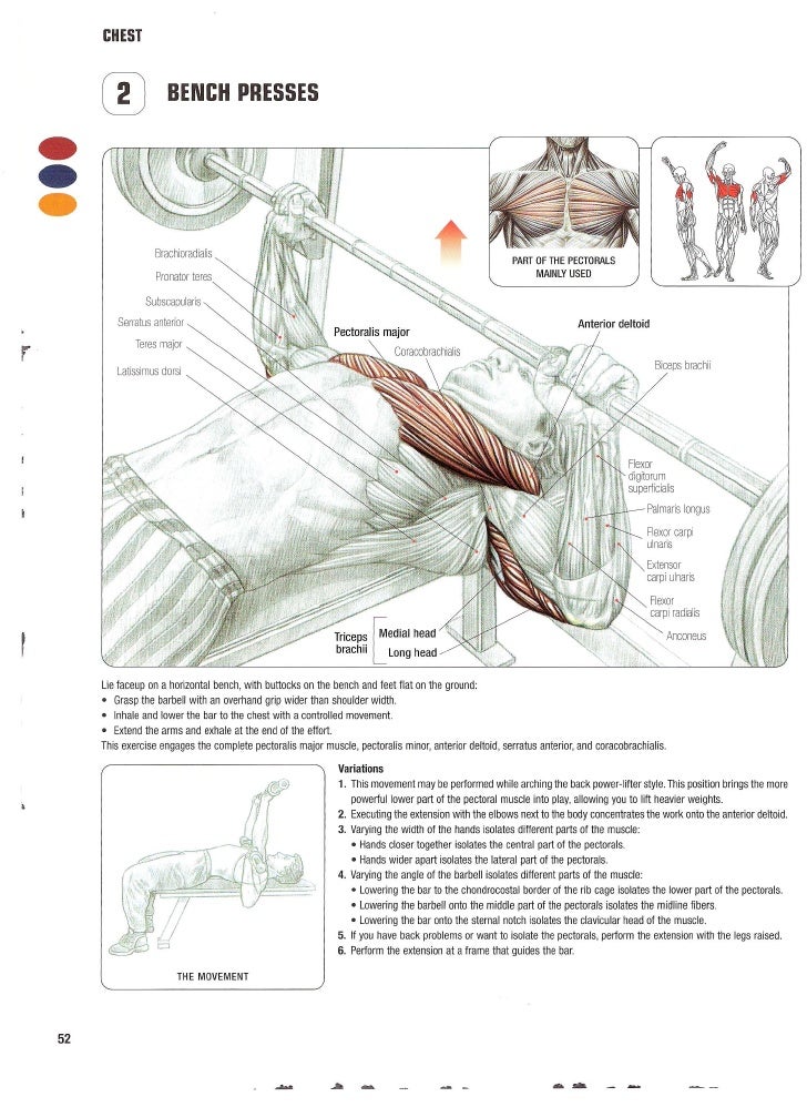 Strength Training Anatomy 2nd Edition