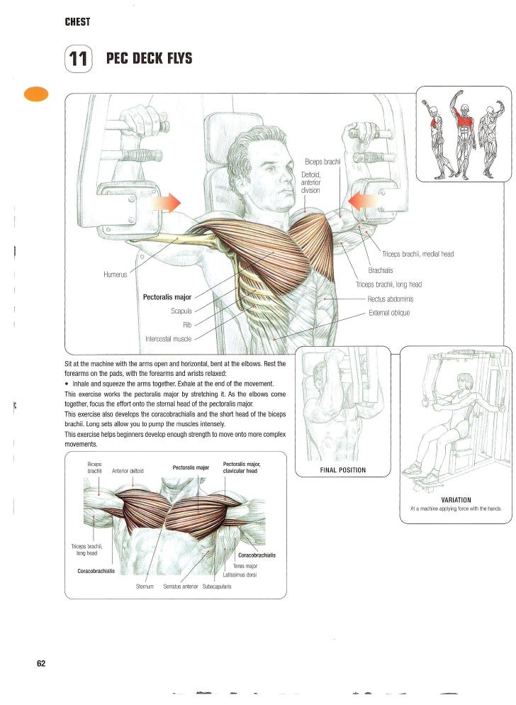 strength training anatomy 3rd edition torrent strength training anatomy 3rd edition torrent