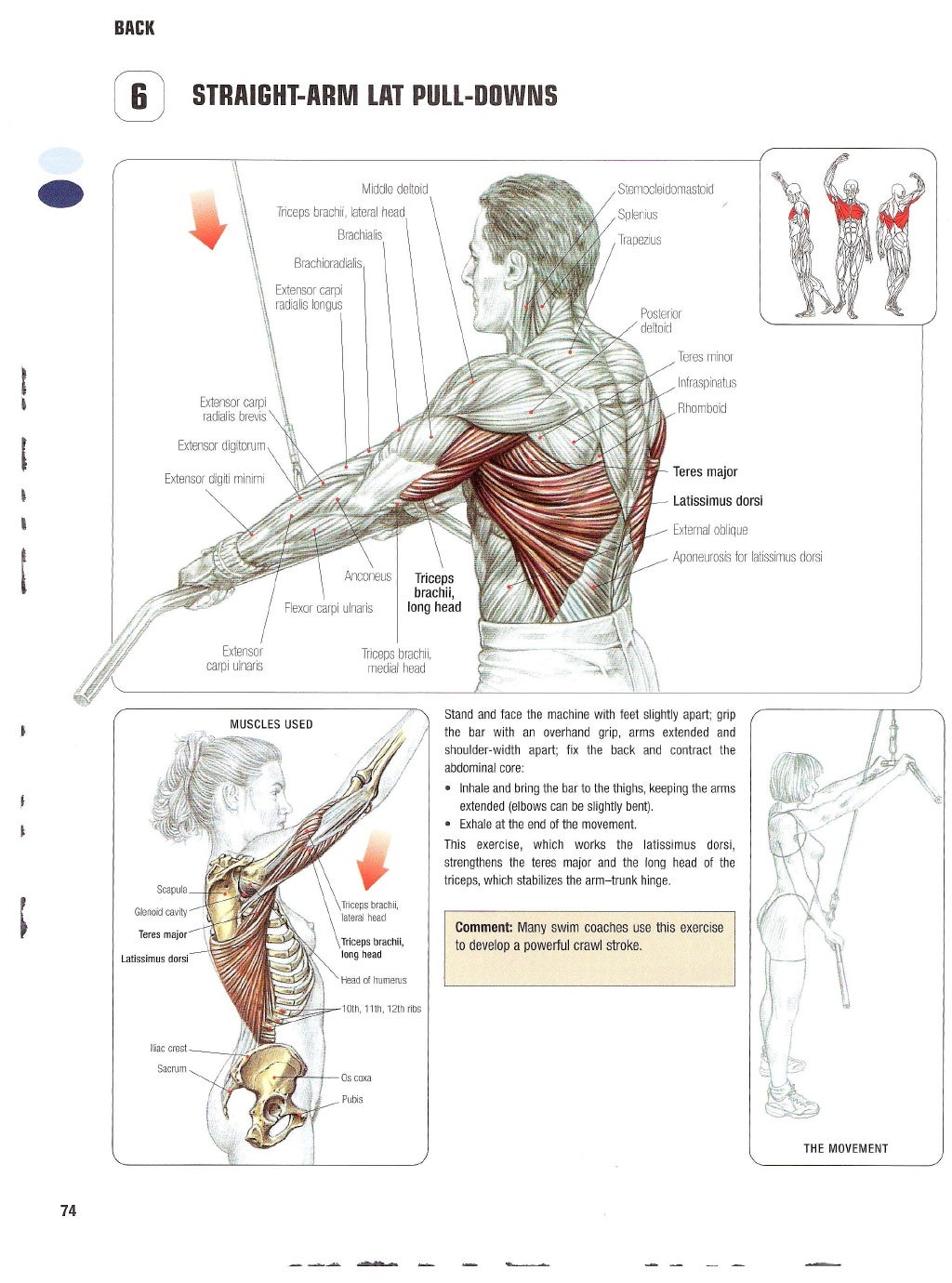 Strength Training Anatomy 2nd Edition Strength Training Anatomy 2nd Edition
