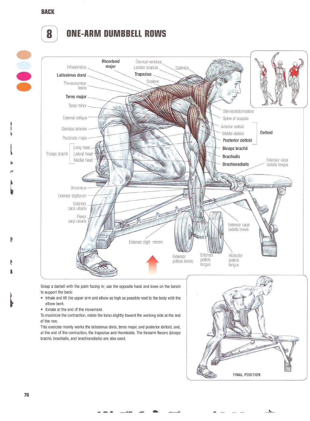 Strength Training Anatomy 2nd Edition strength-training-anatomy-2nd-edition