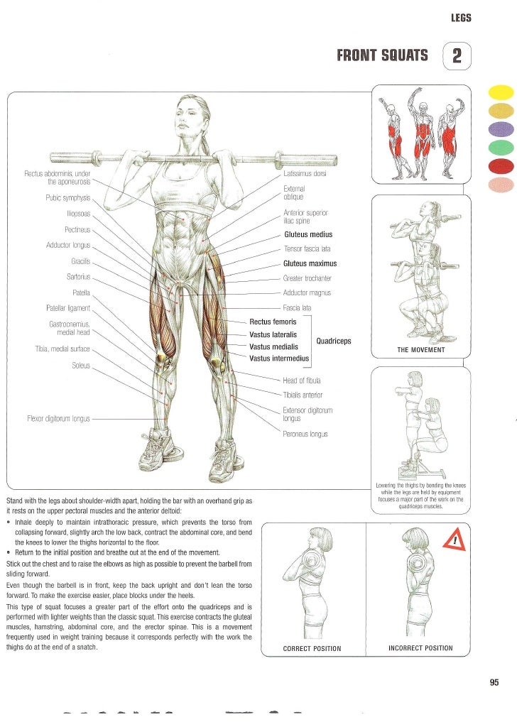 strength-training-anatomy-2nd-edition