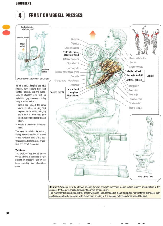 Strength training anatomy 2nd edition