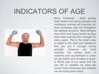 INDICATORS OF AGE
• Bone Thickness - Most studies
have shown that doing strength and
resistance training will improve our
bone thickness and will strengthen
the skeletal structure. Most athletes
have thick and heavy bones as they
have been training their strength for
many years. This is the body’s way
to adapt to the load and resistance
that you put it through during
strength. However we must
maintain the correct level of
nutrients and nourishment in order
for the bones and muscles to grow.
A DEXA test of our spine and hip
can tell us whether we have the
correct bone thickness and whether
we are losing bone mass.
 