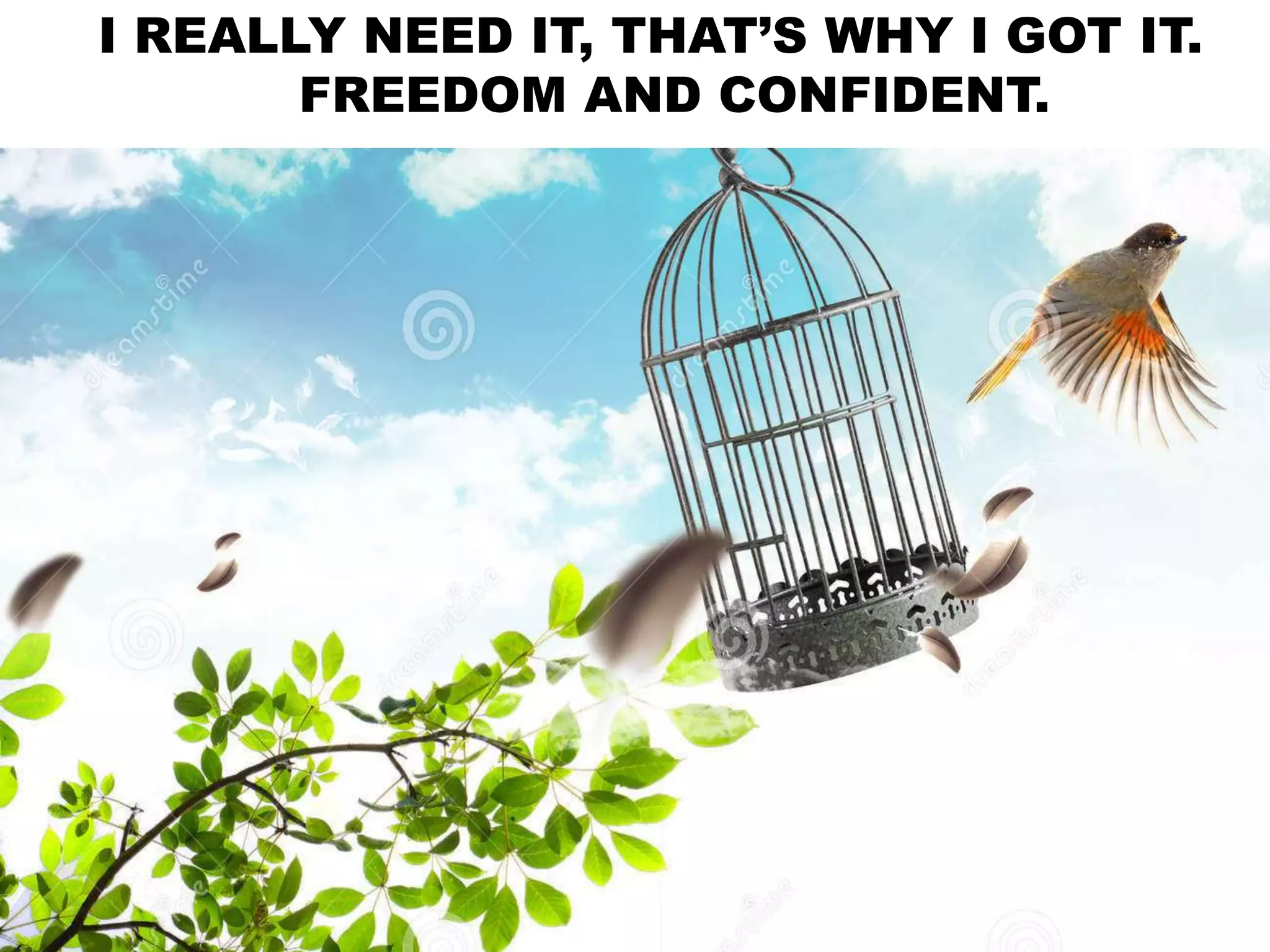 I REALLY NEED IT, THAT’S WHY I GOT IT.
FREEDOM AND CONFIDENT.
 