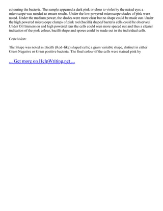 colouring the bacteria. The sample appeared a dark pink or close to violet by the naked eye; a
microscope was needed to ensure results. Under the low powered microscope shades of pink were
noted. Under the medium power, the shades were more clear but no shape could be made out. Under
the high powered microscope clumps of pink rod (bacilli) shaped bacteria cells could be observed.
Under Oil Immersion and high powered lens the cells could seen more spaced out and thus a clearer
indication of the pink colour, bacilli shape and spores could be made out in the individual cells.
Conclusion:
The Shape was noted as Bacilli (Rod–like) shaped cells; a gram variable shape, distinct in either
Gram Negative or Gram positive bacteria. The final colour of the cells were stained pink by
... Get more on HelpWriting.net ...
 