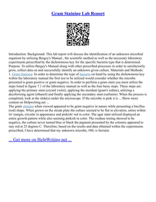 Gram Staining Lab Report
Introduction: Background: This lab report will discuss the identification of an unknown microbial
organism by utilizing Bergey's Manual , the scientific method as well as the necessary laboratory
experiments prescribed by the dichotomous key for the specific bacteria type that is determined.
Purpose: To utilize Bergey's Manual along with other prescribed processes in order to satisfactorily
grow, collect data on and successfully identify an unknown given culture. Materials and Methods:
1. Gram Staining: In order to determine the type of bacteria on hand by using the dichotomous key
within the laboratory manual the first test to be utilized would consider whether the microbe
presented is gram positive or gram negative. In order to perform a gram stain you must utilize the
steps listed in figure 7.1 of the laboratory manual as well as the four basic steps. These steps are:
applying the primary stain (crystal violet), applying the mordant (gram's iodine), utilizing a
decolorizing agent (ethanol) and finally applying the secondary stain (safranin). When the process is
completed, look at the slide(s) under the microscope. If the microbe is pink it is ... Show more
content on Helpwriting.net ...
The gram staining when viewed appeared to be gram negative in nature while presenting a bacillus
(rod) shape. When grown on the streak plate the culture seemed to be flat in elevation, entire within
its' margin, circular in appearance and pinkish/ red in color. The agar slant utilized displayed an
entire growth pattern while also seeming pinkish in color. The oxidase testing showed to be
negative, the culture never turned blue or black the pigment presented by the colonies appeared to
stay red at 25 degrees C. Therefore, based on the results and data obtained within the experiments
prescribed, I have determined that my unknown microbe, #80, is Serratia
... Get more on HelpWriting.net ...
 