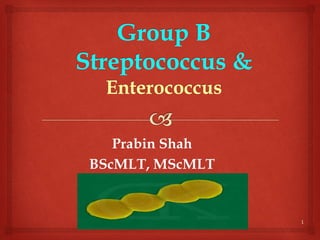Prabin Shah
BScMLT, MScMLT
1
 