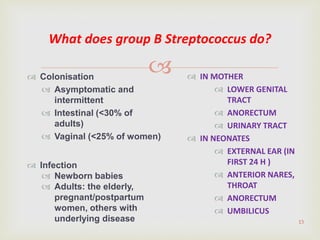External Strep Strep and entero | PPTX