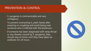 PREVENTION & CONTROL
 S. pyogenes is communicable and very
contagious.
 To prevent contracting it, wash hands after
sneezing or coughing and avoid being near
someone who is infected with the bacterium.
 If someone has been diagnosed with strep throat
or any disease caused by S. pyogenes, they
should stay at home until they have taken an
antibiotic for 24 hours.
 