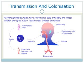 Transmission And Colonisation 