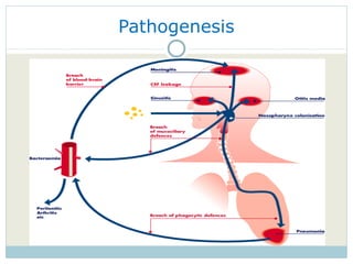Pathogenesis 