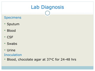 Lab Diagnosis Specimens Sputum  Blood CSF Swabs Urine Inoculation Blood, chocolate agar at 37 o C for 24-48 hrs 