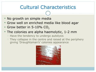 Cultural Characteristics No growth on simple media Grow well on enriched media like blood agar  Grow better in 5-10% CO 2 The colonies are alpha haemolytic, 1-2 mm  Have the tendency to undergo autolysis They collapse in the centre and raised at the periphery giving ‘Draughtsman’s’ colonies appearance  