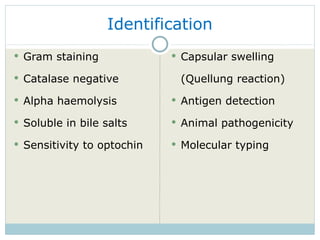 Identification Gram staining Catalase negative Alpha haemolysis Soluble in bile salts Sensitivity to optochin Capsular swelling (Quellung reaction) Antigen detection Animal pathogenicity Molecular typing 