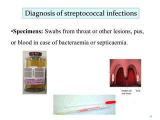 •Specimens: Swabs from throat or other lesions, pus,
or blood in case of bacteraemia or septicaemia.
Diagnosis of streptococcal infections
12
 