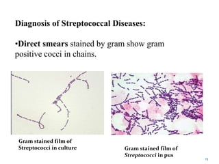 Diagnosis of Streptococcal Diseases:
•Direct smears stained by gram show gram
positive cocci in chains.
Gram stained film of
Streptococci in culture Gram stained film of
Streptococci in pus
13
 
