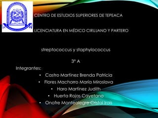 CENTRO DE ESTUDIOS SUPERIORES DE TEPEACA

LICENCIATURA EN MÉDICO CIRUJANO Y PARTERO

streptococcus y staphylococcus
3° A
Integrantes:
• Castro Martínez Brenda Patricia

• Flores Machorro María Miroslava
• Haro Martínez Judith
• Huerta Rojas Cayetano
• Onofre Montealegre Cristal Irais

 