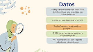 Datos
relevantes:
• Está particularmente bien adaptado a
la leche, debido a su capacidad para
utilizar la lactosa.
• Actividad hidrolizante de la lactosa
• Se clasifica como una especie no
patógena.
• El 10% de sus genes son inactivos o
son pseudogenes.
• Usado ampliamente como agente
saborizante y texturizante.
 