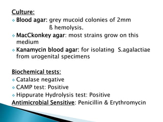 Culture:
 Blood agar: grey mucoid colonies of 2mm
ß hemolysis.
 MacCkonkey agar: most strains grow on this
medium
 Kanamycin blood agar: for isolating S.agalactiae
from urogenital specimens
Biochemical tests:
 Catalase negative
 CAMP test: Positive
 Hippurate Hydrolysis test: Positive
Antimicrobial Sensitive: Penicillin & Erythromycin
 