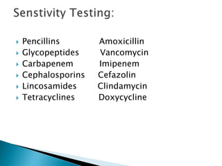  Pencillins Amoxicillin
 Glycopeptides Vancomycin
 Carbapenem Imipenem
 Cephalosporins Cefazolin
 Lincosamides Clindamycin
 Tetracyclines Doxycycline
 