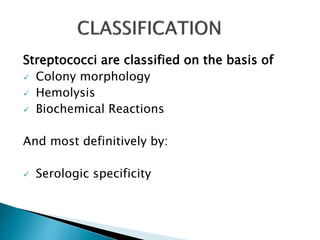 Streptococci are classified on the basis of
 Colony morphology
 Hemolysis
 Biochemical Reactions
And most definitively by:
 Serologic specificity
 